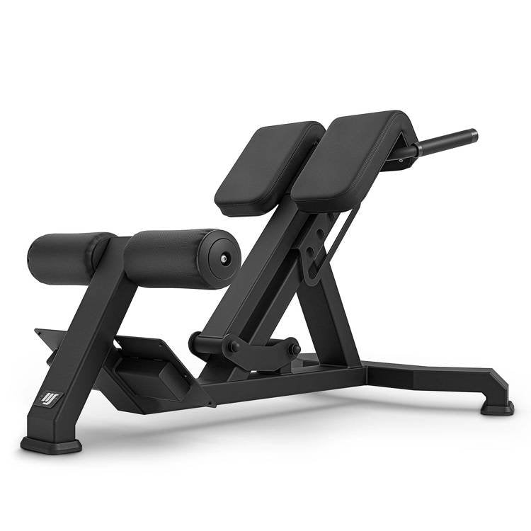 Professionel Fitnesscenter Rygtræner
