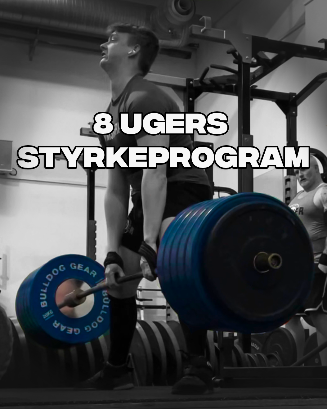 Styrkeprogram    Normalt 300 Kr