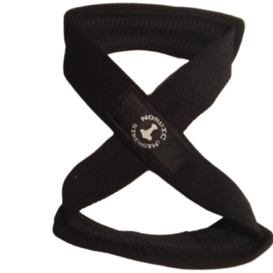 Figure 8 Lifting Straps  2 Stk