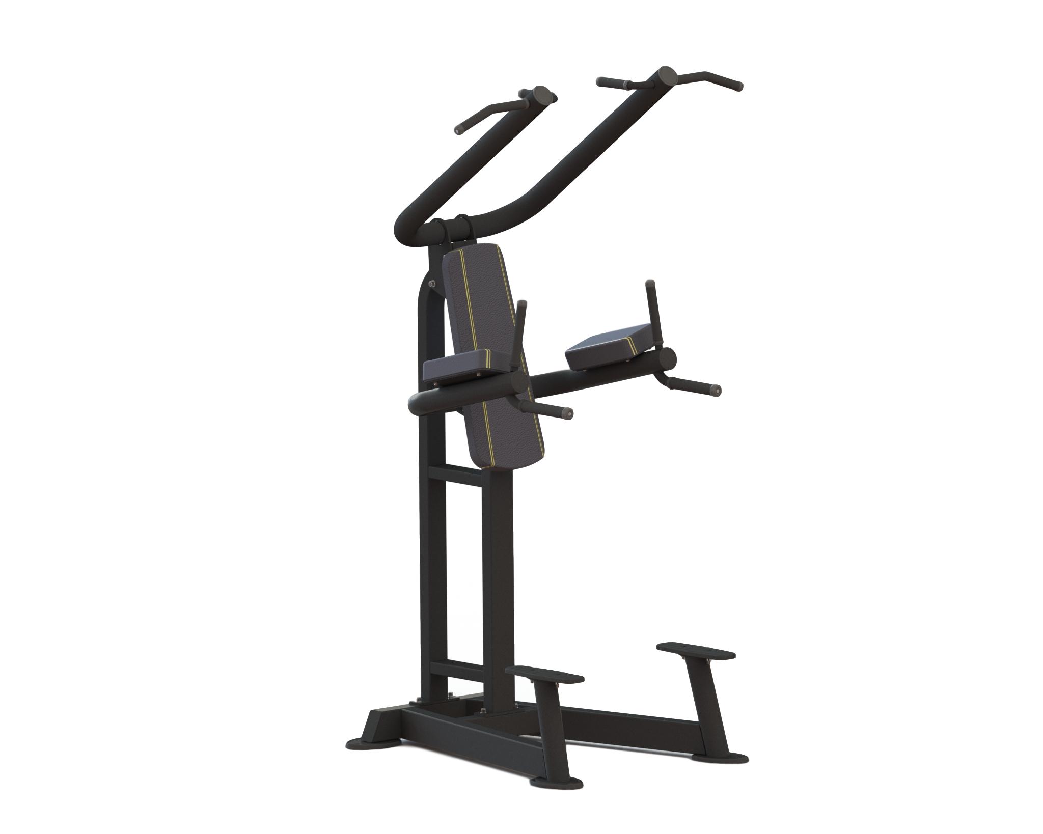 Relax Pro Fitness   Relax Chin Up   Dip Ptt0219