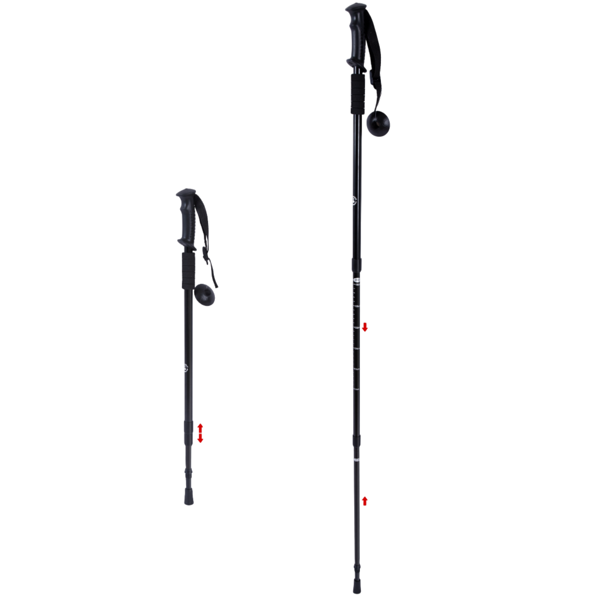 Nordic Walking Stave  2 Styk