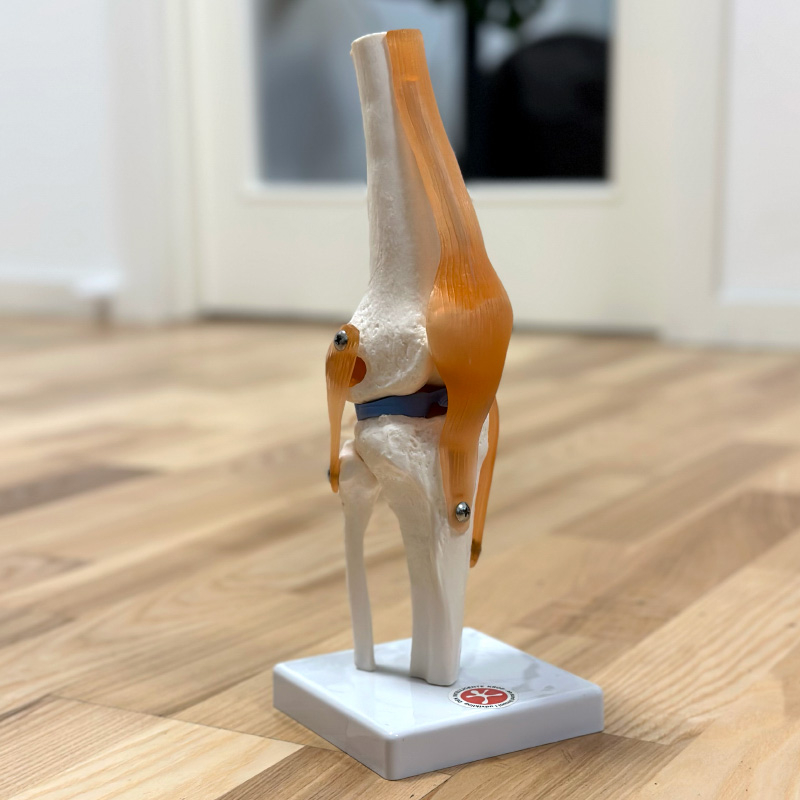 Knæled Fuld Størrelse