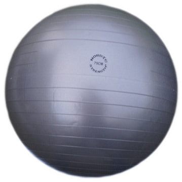 Træningsbold 75 Cm Grå Nordic Strength