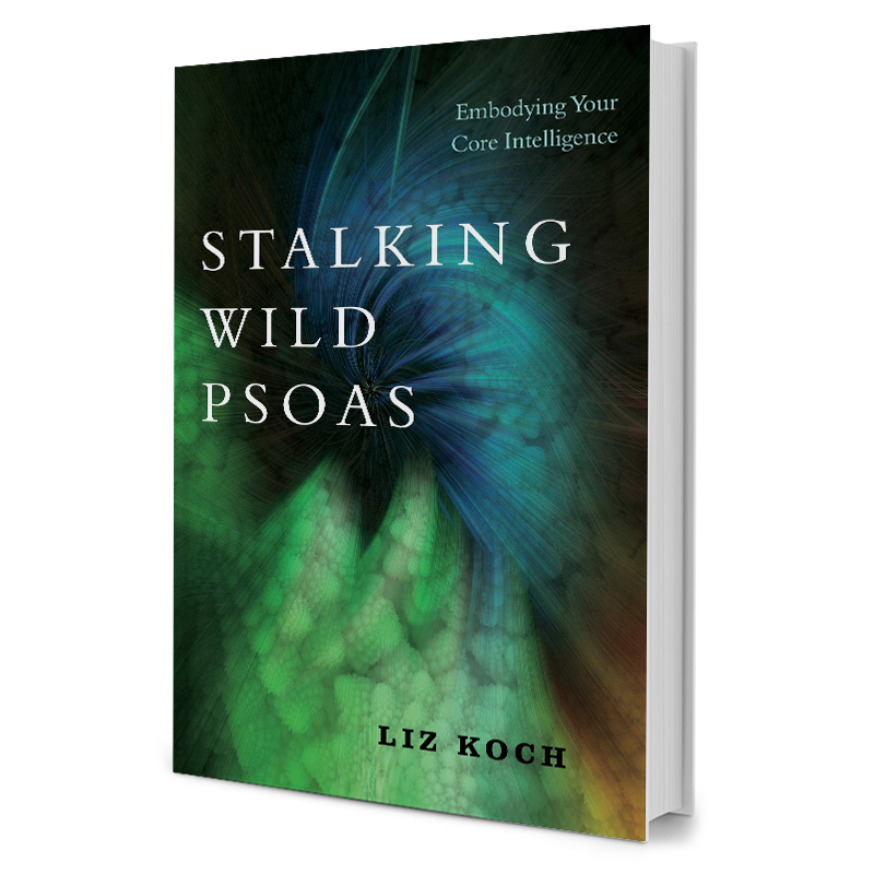 Stalking Wild Psoas   Embodying Your Core Intelligence