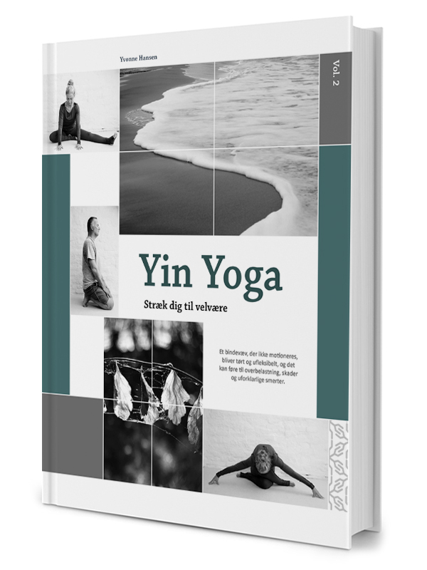 Yin Yoga     Stræk Dig Til Velvære Vol  2